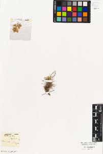 SW_BNB_s3010-09309_IMG-0000000001