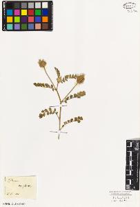 SW_BNB_s3010-09310_IMG-0000000001