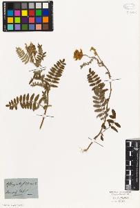 SW_BNB_s3010-09311_IMG-0000000001