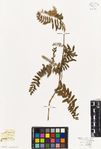 SW_BNB_s3010-09312_IMG-0000000001