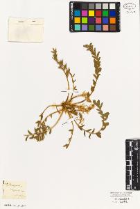 SW_BNB_s3010-09313_IMG-0000000001