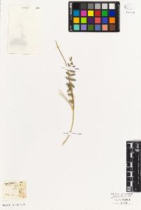 SW_BNB_s3010-09314_IMG-0000000001