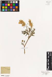 SW_BNB_s3010-09316_IMG-0000000001