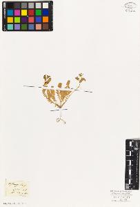 SW_BNB_s3010-09317_IMG-0000000001