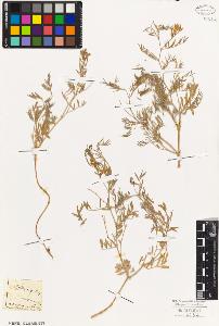 SW_BNB_s3010-09318_IMG-0000000001