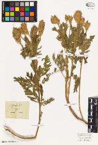 SW_BNB_s3010-09319_IMG-0000000001