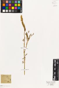 SW_BNB_s3010-09320_IMG-0000000001