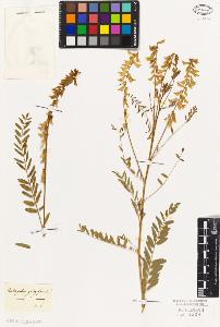 SW_BNB_s3010-09321_IMG-0000000001