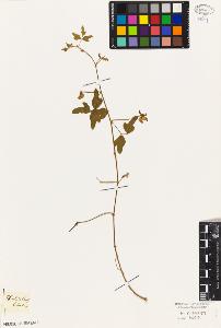 SW_BNB_s3010-09322_IMG-0000000001