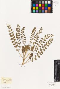 SW_BNB_s3010-09323_IMG-0000000001