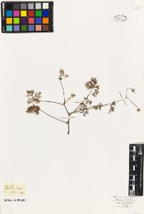 SW_BNB_s3010-09324_IMG-0000000001