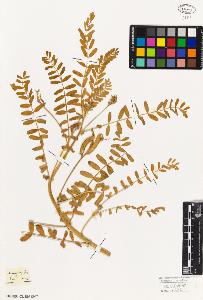 SW_BNB_s3010-09325_IMG-0000000001