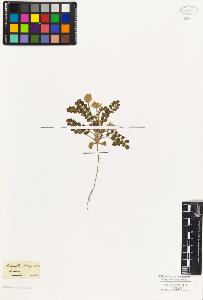 SW_BNB_s3010-09326_IMG-0000000001