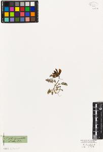 SW_BNB_s3010-09327_IMG-0000000001