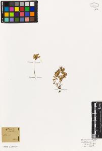 SW_BNB_s3010-09329_IMG-0000000001