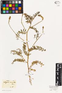 SW_BNB_s3010-09330_IMG-0000000001