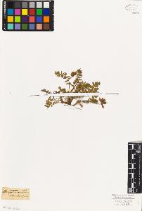 SW_BNB_s3010-09331_IMG-0000000001