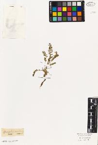 SW_BNB_s3010-09332_IMG-0000000001