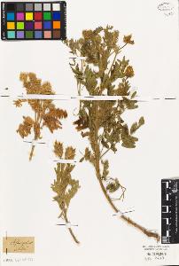 SW_BNB_s3010-09333_IMG-0000000001