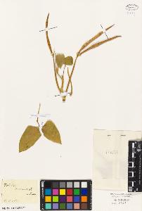 SW_BNB_s3010-09336_IMG-0000000001