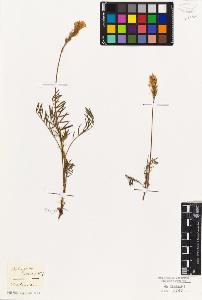 SW_BNB_s3010-09337_IMG-0000000001