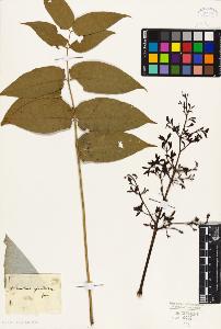 SW_BNB_s3010-09338_IMG-0000000001