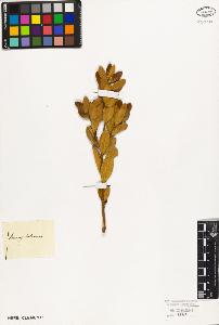 SW_BNB_s3010-09339_IMG-0000000001