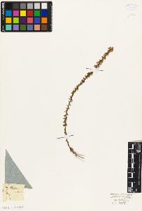 SW_BNB_s3010-09340_IMG-0000000001