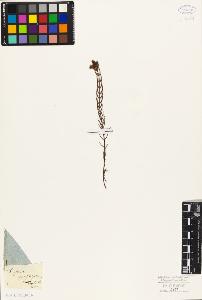 SW_BNB_s3010-09341_IMG-0000000001