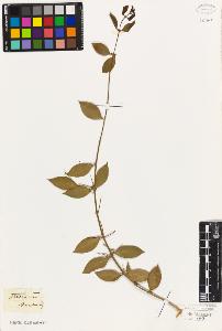 SW_BNB_s3010-09342_IMG-0000000001