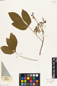 SW_BNB_s3010-09343_IMG-0000000001