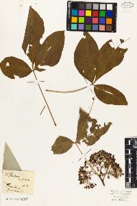 SW_BNB_s3010-09344_IMG-0000000001