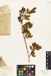 SW_BNB_s3010-09346_IMG-0000000001