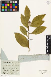 SW_BNB_s3010-09347_IMG-0000000001