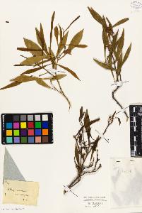 SW_BNB_s3010-09348_IMG-0000000001