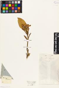 SW_BNB_s3010-09349_IMG-0000000001