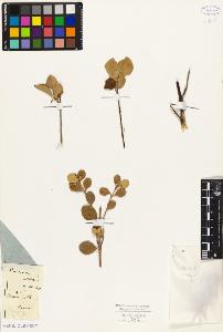 SW_BNB_s3010-09351_IMG-0000000001