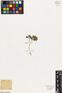 SW_BNB_s3010-09354_IMG-0000000001