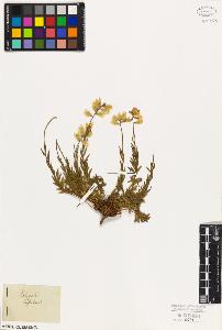 SW_BNB_s3010-09355_IMG-0000000001