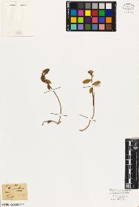 SW_BNB_s3010-09356_IMG-0000000001