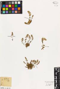 SW_BNB_s3010-09357_IMG-0000000001