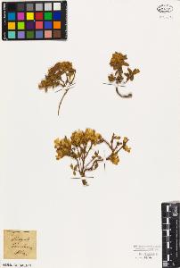 SW_BNB_s3010-09358_IMG-0000000001