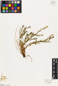 SW_BNB_s3010-09359_IMG-0000000001