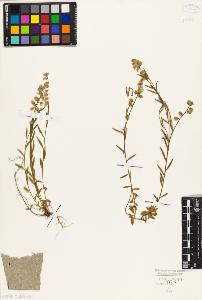 SW_BNB_s3010-09360_IMG-0000000001