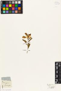 SW_BNB_s3010-09361_IMG-0000000001