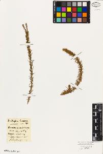 SW_BNB_s3010-09363_IMG-0000000001