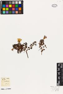 SW_BNB_s3010-09365_IMG-0000000001