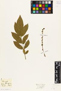 SW_BNB_s3010-09366_IMG-0000000001