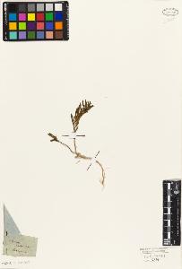 SW_BNB_s3010-09367_IMG-0000000001