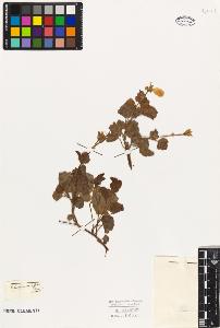 SW_BNB_s3010-09368_IMG-0000000001